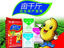 亩千斤花生高产套餐